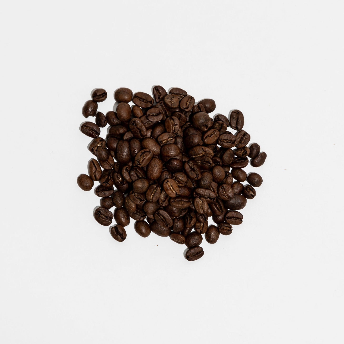 Light Decaf - Bongo Roasting Co.